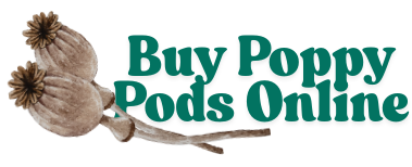Buy Poppy Pods Online