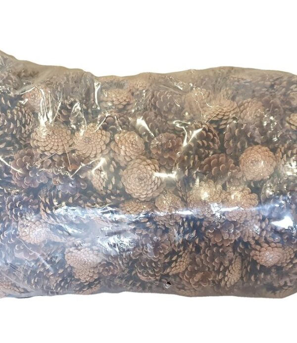 Large bag with natural pine cones