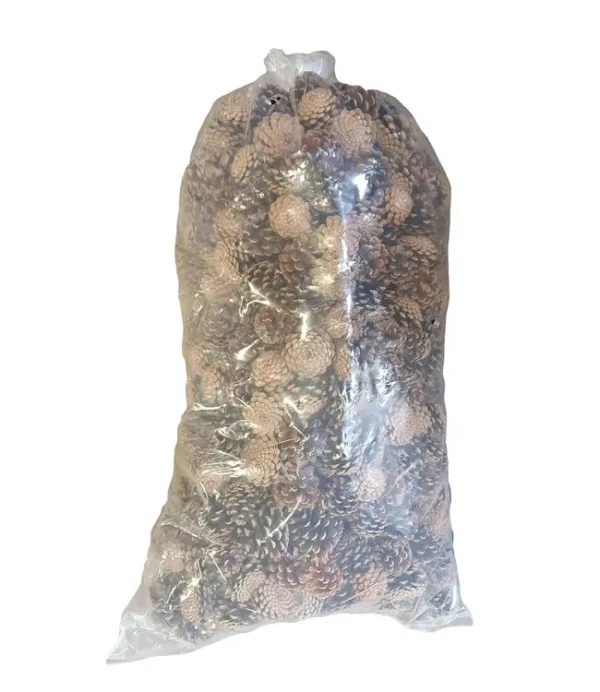 Large bag with natural pine cones