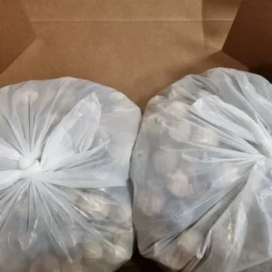 Unwashed dried poppy pods for sale