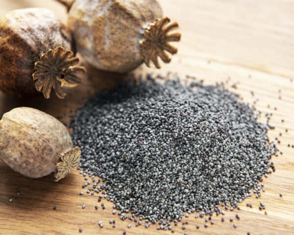 bulk unwashed poppy seeds