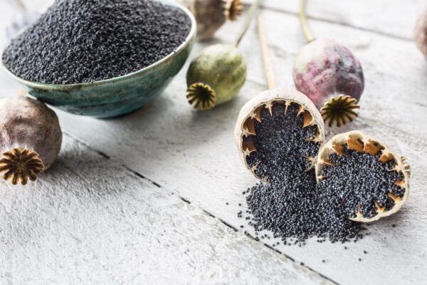 poppy seeds bulk unwashed