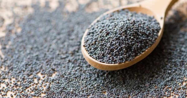 unwashed poppy seeds bulk usa